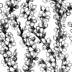 blossom branches seamless pattern on white backgroung, black pencil sketch