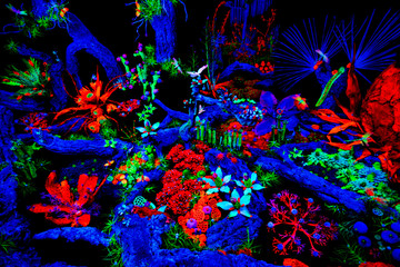 Fototapeta na wymiar Neon flowers colors in the dark on a black background. Flowers for decoration.
