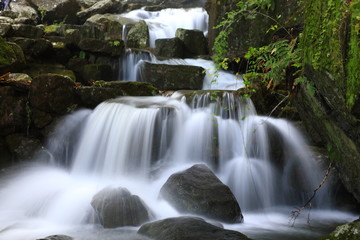 Obraz premium 폭포 장노출 사진