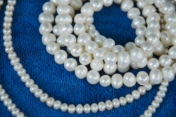 Beautiful white pearl necklaces close up on blue floor