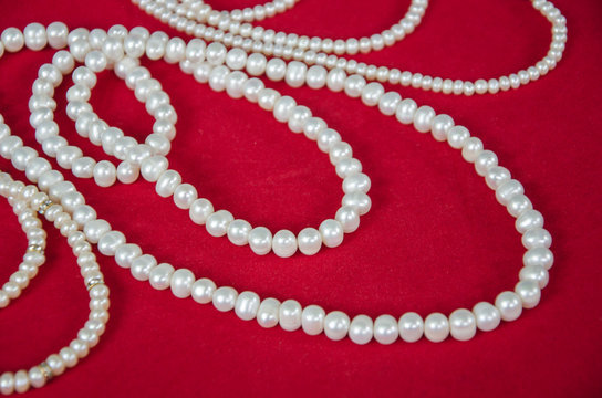 Beautiful White Pearl Necklaces On Red Floor