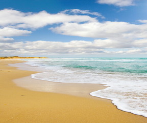 beach and sea