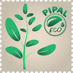 ficus rubber plant logo plant brand