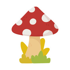 mushroom leaves foliage nature botanical isolated icon