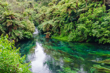 Blue Spring which is located at Te Waihou Walkway,Hamilton New Zealand. It internationally acclaimed supplies around 70% of New Zealand's bottled water because of the pure water.
