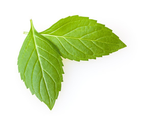 Fresh mint leaves isolated on white background