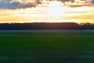 sunset or sunrise over a forest in a field. Summer in the country. Outdoor recreation.