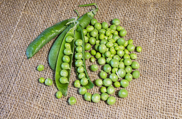 hearthy fresh green peas and pods on rustic fabric background