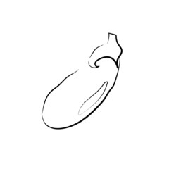 vegetable vector eggplant food and vegetables on white background, graphic illustration of food