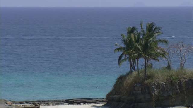 Aerial view of palm trees on the Las Perlas Archipelago Island, in the Pacific Ocean