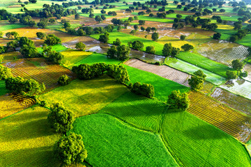 Royalty high quality free stock image aerial view of rice fields in Mekong Delta, Tri Ton town, An...