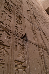 エジプト　ホルス神殿