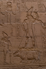 エジプト　カイロ　象形文字
