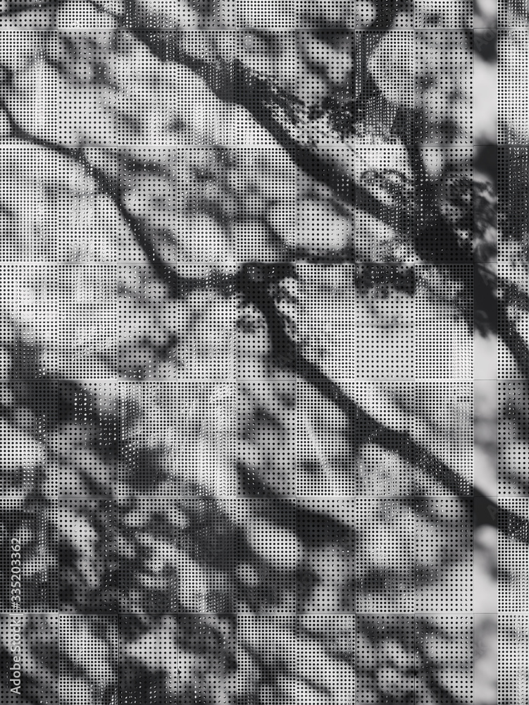 Poster tree branch shadow silhouette on modern building metal wall nature abstract background