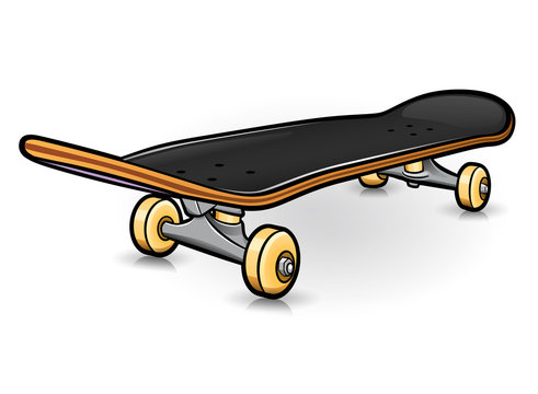 Vector skateboard drawing design isolated