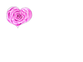 Heart of rose on white background /