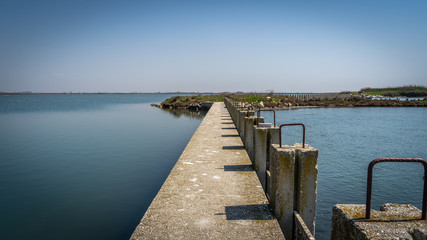 Obraz premium fish farm cement bridge path at wetland