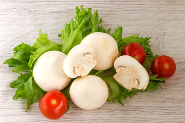 On green lettuce leaves lie fresh raw champignons with cherry tomatoes.