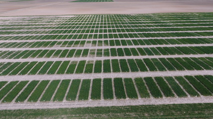 DCIM\100MEDIA\DJI_0001.JPG