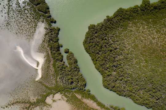 Top view of a piece of green water running between trees in Northland, New Zealand.