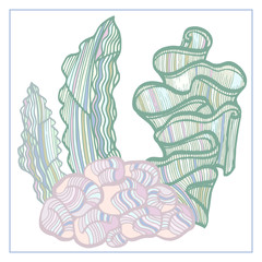 Coral and Algae vector graphic sketch handdraw 