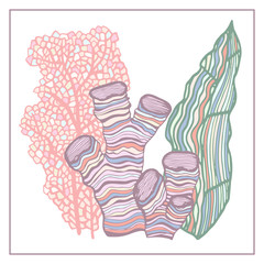 Coral and Algae vector graphic sketch handdraw 