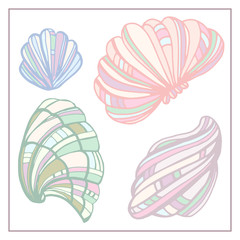 Seashells, starfishs, mollusks vector set graphic sketch 