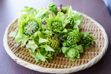 木のテーブルに置かれたザルにはいったフキノトウ