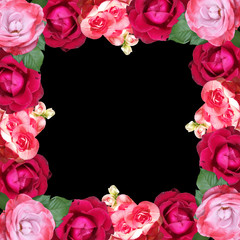 Beautiful floral pattern of begonias and roses. Isolated