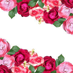 Beautiful floral background of begonias and roses. Isolated