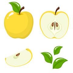 Set of fresh whole, half, cut slice and leaves yellow apple fruit isolated on white background. Summer fruits for healthy lifestyle. Organic fruit. Cartoon style. Vector illustration for any design.