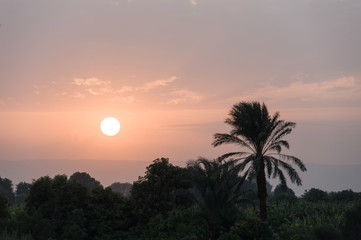 ナイル川の夕焼け
