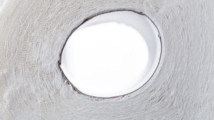 Toilet Paper Isolated on white background. Conceptual background.