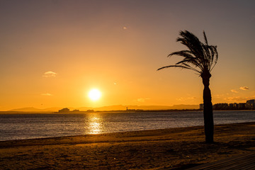 Roses on Costa Brava, Catalonia, Spain.