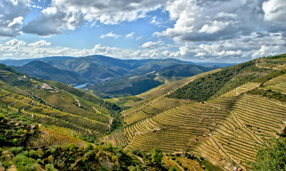 Douro Valley, vineyards and landscape near Regua, Portugal - obrazy, fototapety, plakaty