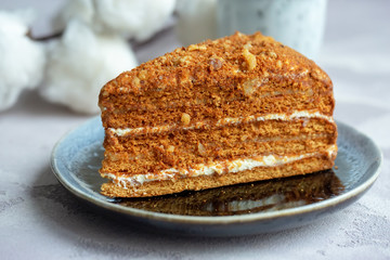 Slice of fresh homemade russian or czech honey cake with cup of tea or coffee on grey table. Selective focus. Natural light.