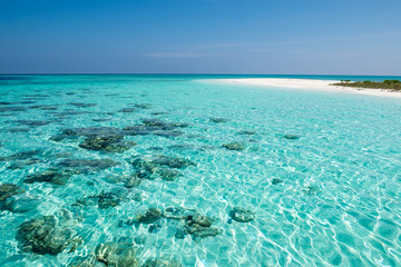 Beautiful blue wave in tropical ocean. Turquoise wave barrel crashing in sea. Close up.