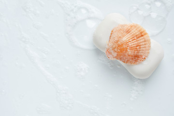 Sea shell lying on a piece of white soap, top view
