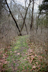 Nature Trail