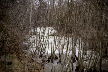 Creek Flooding