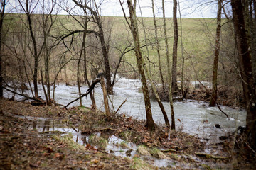 Creek Flooding