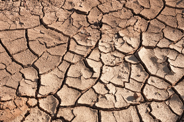 Crack soil on dry season  