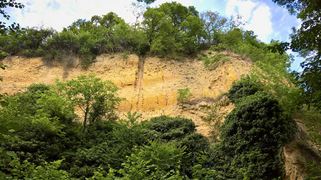 Loess profile at Riegel; Kaiserstuhl (geological window)