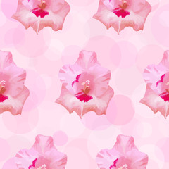Watercolor floral seamless pattern. Gladiolus flower on pink background. Floral texture with bokeh decoration.