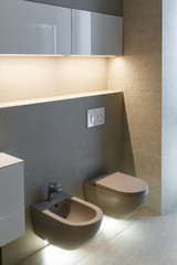 Brown toilet and bidet. Modern wc interior. Economic toilet white flush press with two separate...