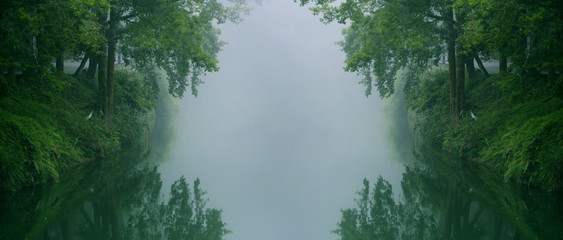 In the thick fog, a quiet river in the forest makes people feel comfortable and calm.