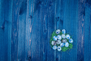 Wooden background, blue, fine structure, multicoloured, bird's nest with eggs