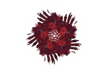 abstract aggressive fractal red black symmetric figure