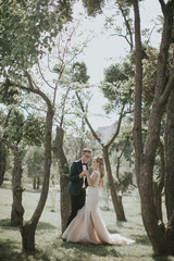 Portrait of a lovely bride and groom embrace, kiss and hug each other. Couple in love in the bosom of nature . Handsome groom and beautiful blonde bride posing in the forest. Modern dress and suit