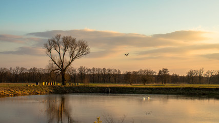 Dolina Baryczy i jej niewielki staw we Wrocławicach © Seba